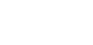 IREX logo with a circle of fingerprints in different colors